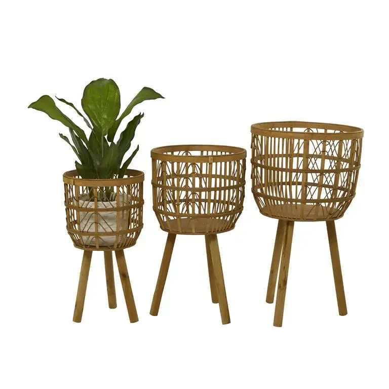 Brown Bamboo Bohemian Abstract Plante