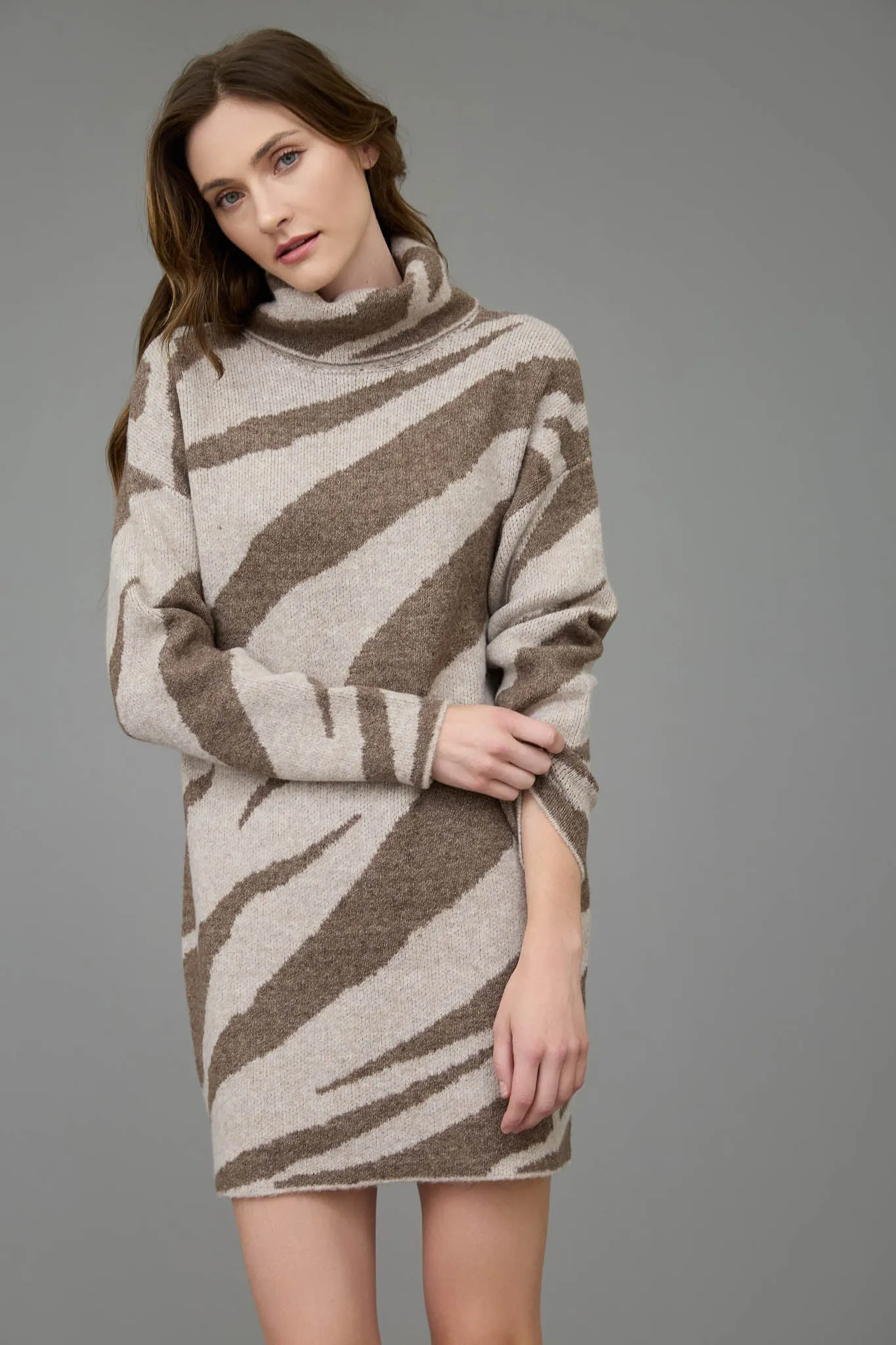 ZEBRA PRINT TURTLENECK LONG SLEEVE SWEATER DRESS